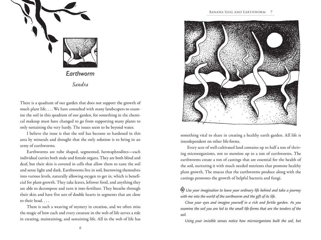Speaking with Nature by Sandra Ingerman: Paperback; 288 pages / English