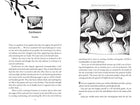 Speaking with Nature by Sandra Ingerman: Paperback; 288 pages / English