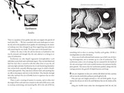 Speaking with Nature by Sandra Ingerman: Paperback; 288 pages / English