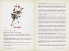 Hidden Meaning of Birds--A Spiritual Field Guide by Arin Murphy-Hiscock: Paperback; 240 pages / English