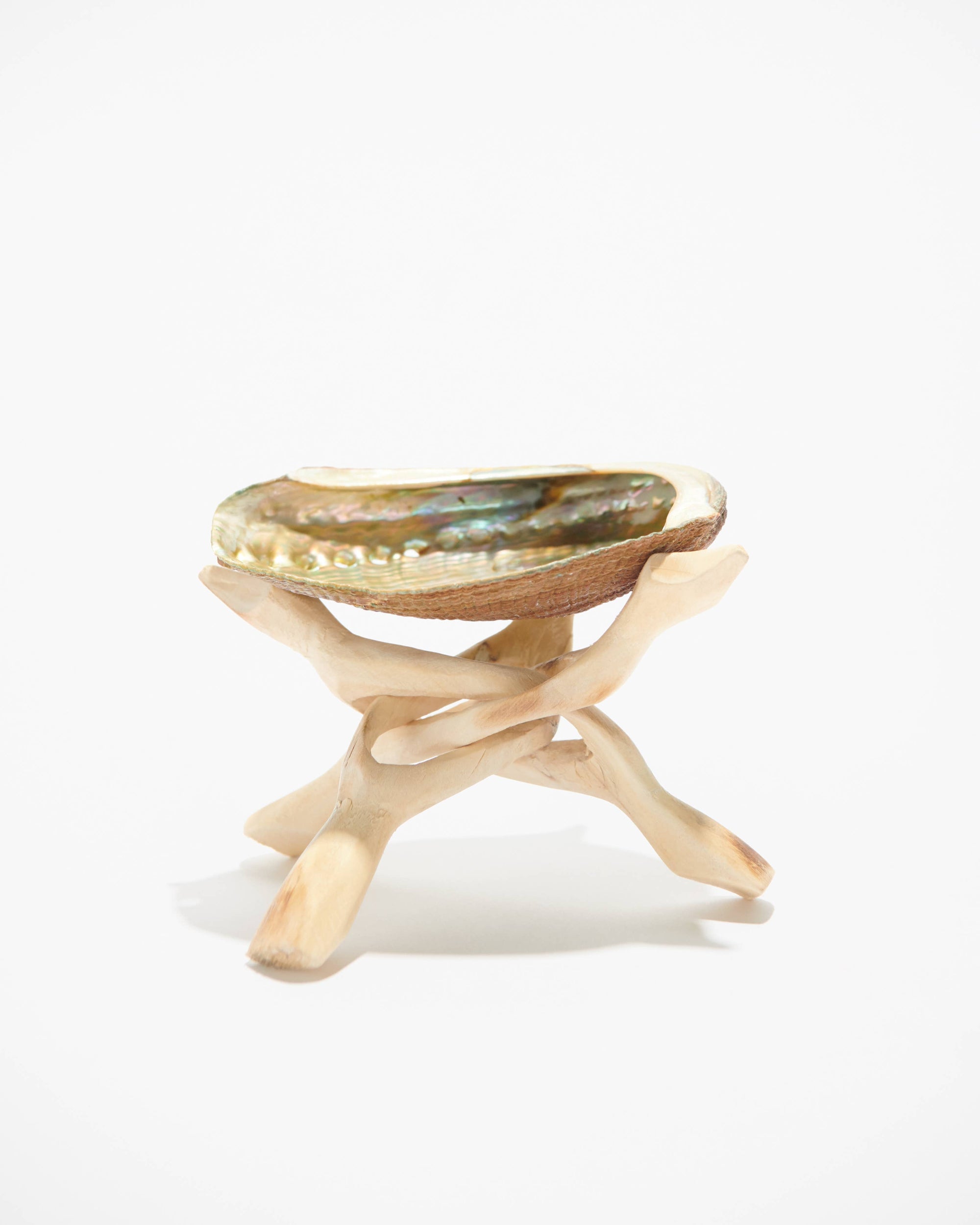 Abalone Shell Stand, Cobra Tripod, Wooden Tripod Stand: Lge.