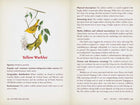 Hidden Meaning of Birds--A Spiritual Field Guide by Arin Murphy-Hiscock: Paperback; 240 pages / English