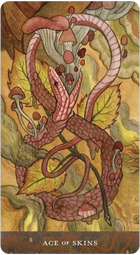 Blood Moon Tarot
