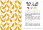 Numerology Oracle by Rosemaree Templeton: Flashcards; 96 pages / English