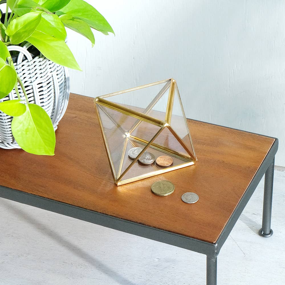 BRASS Frame Glass Case Sowable
