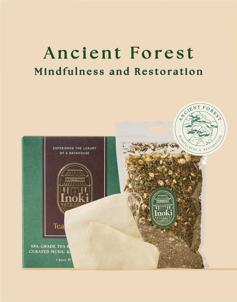 Ancient Forest - Mindfulness & Restoration - Mini