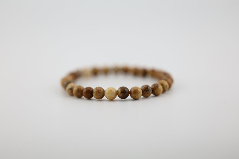 Petrified Wood Bead Bracelet