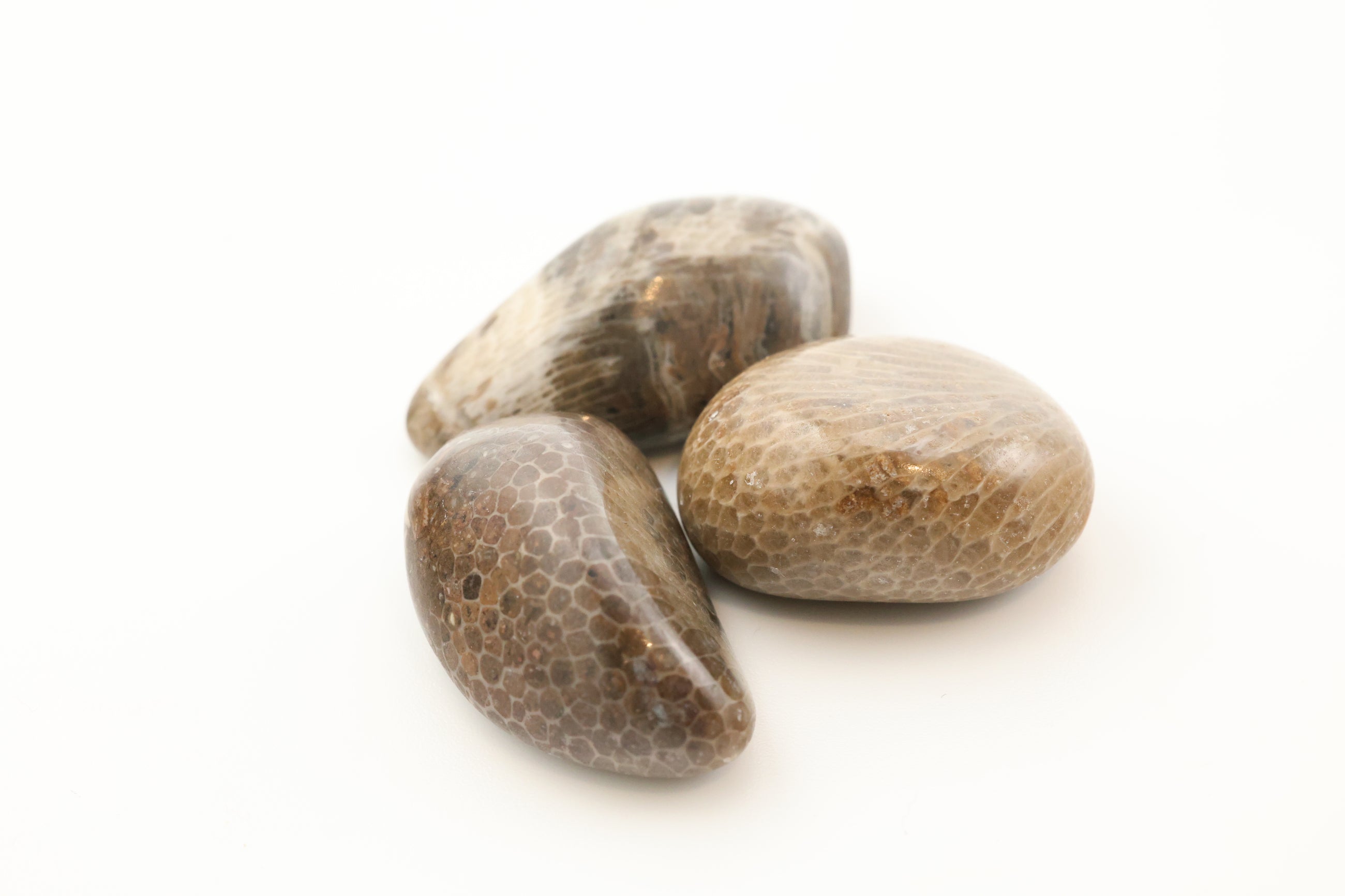 Petoskey Stone Tumble