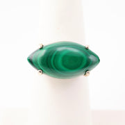 Malachite Ring Eye  Sterling Silver
