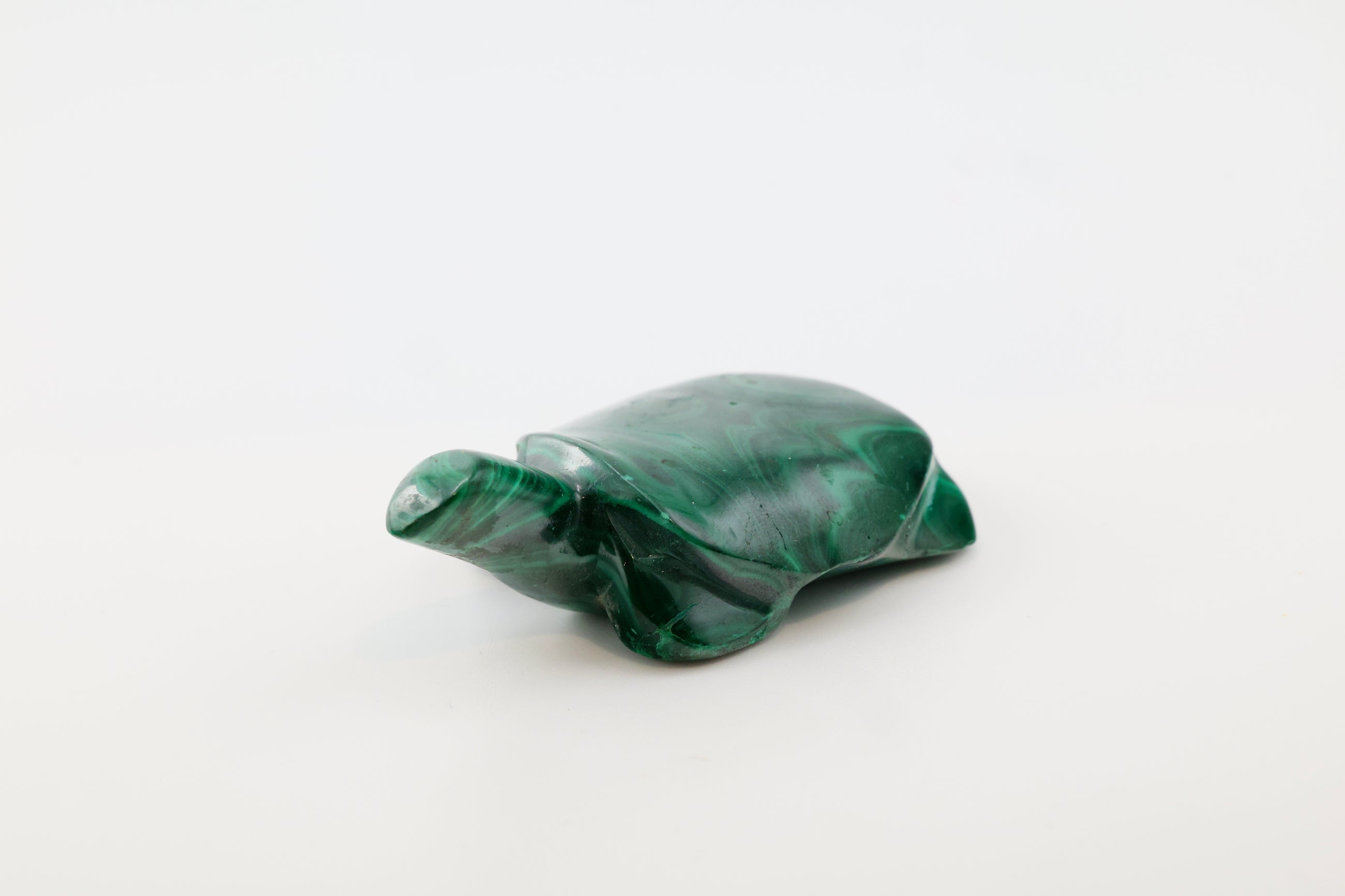 Malachite Turtle