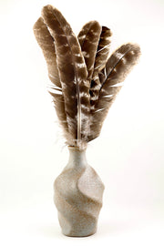 Feather