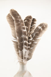 Feather