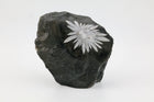 Chrysanthemum Raw Cut Base