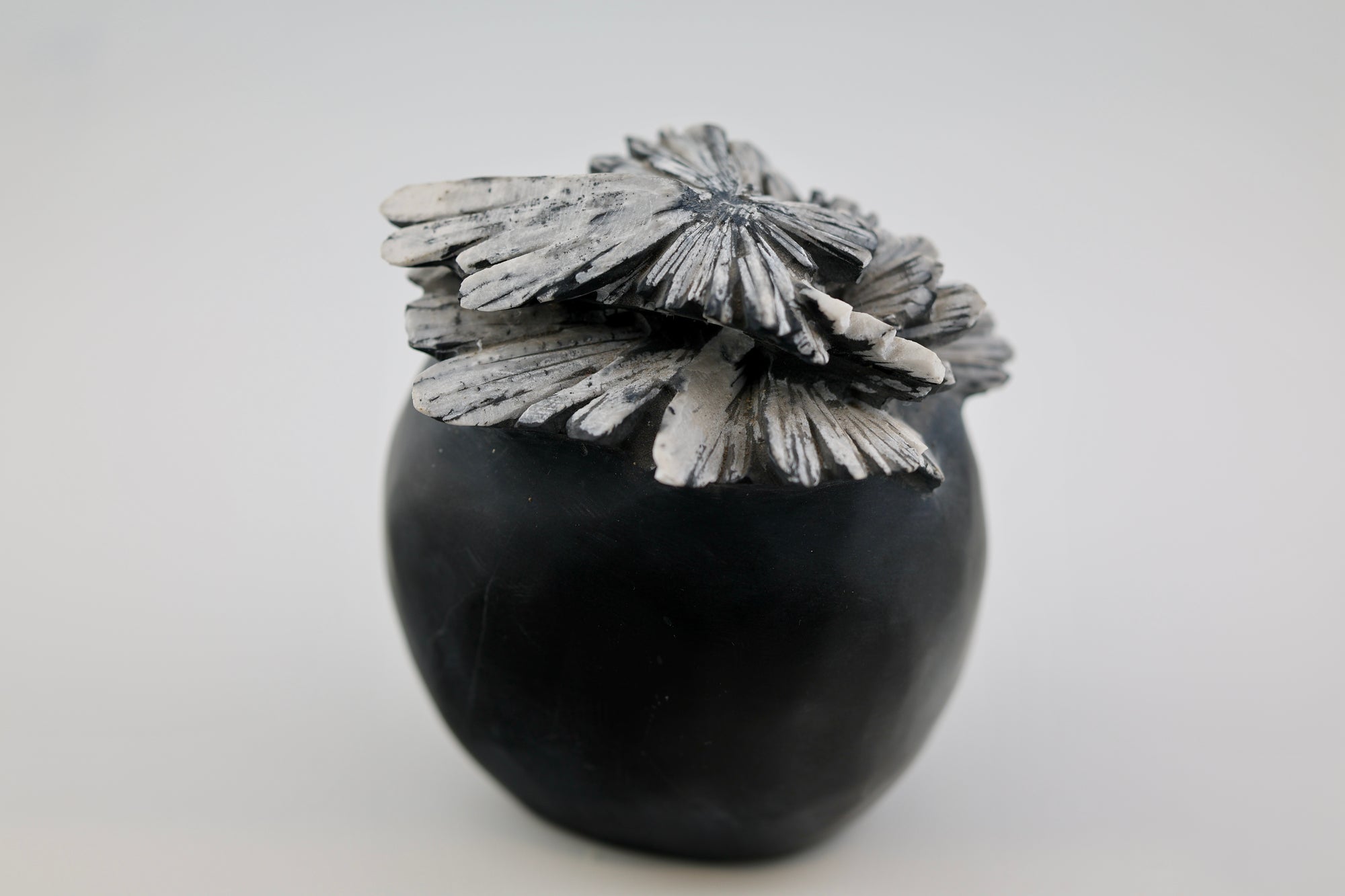 Chrysanthemum Carving
