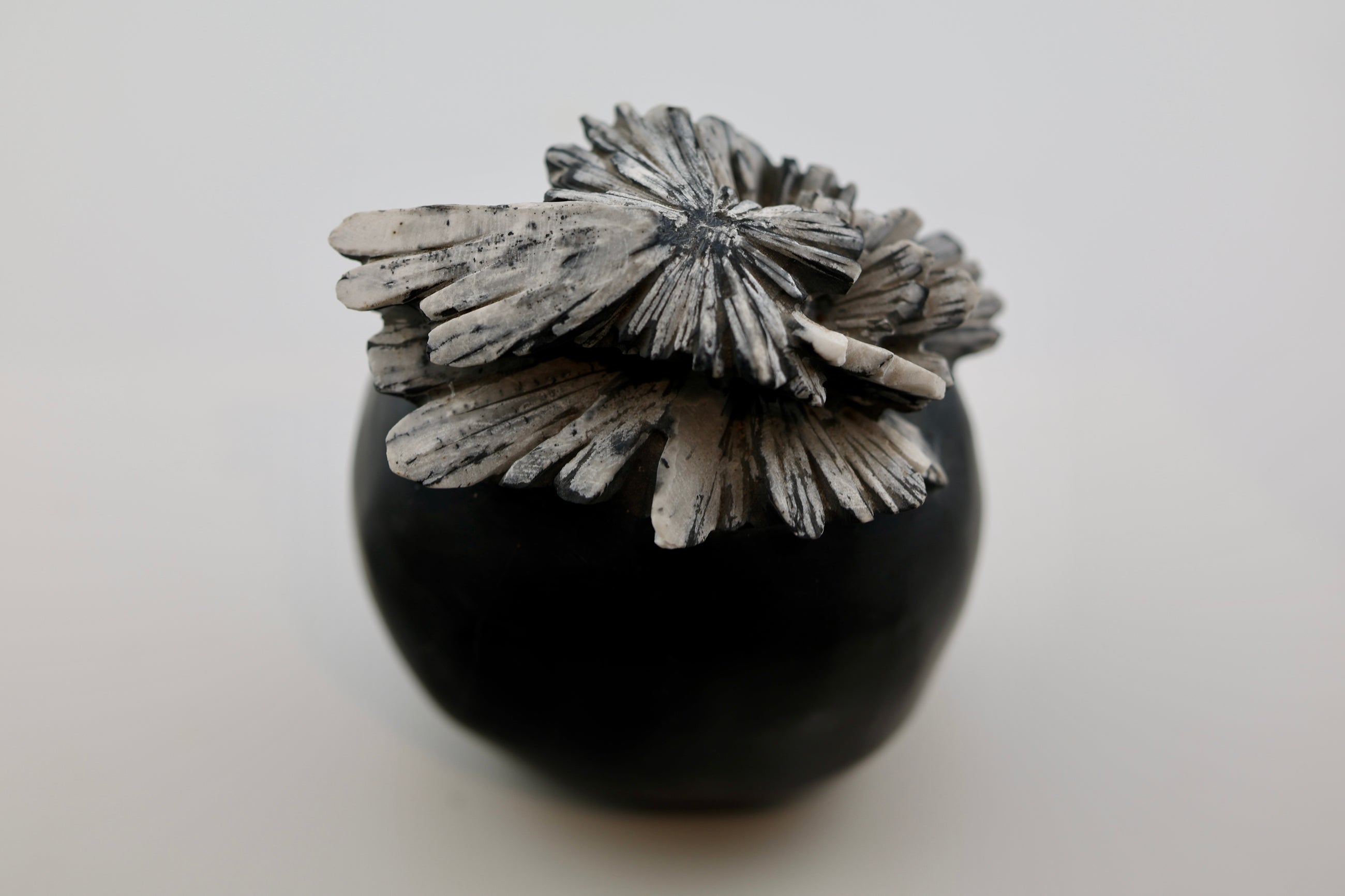 Chrysanthemum Carving