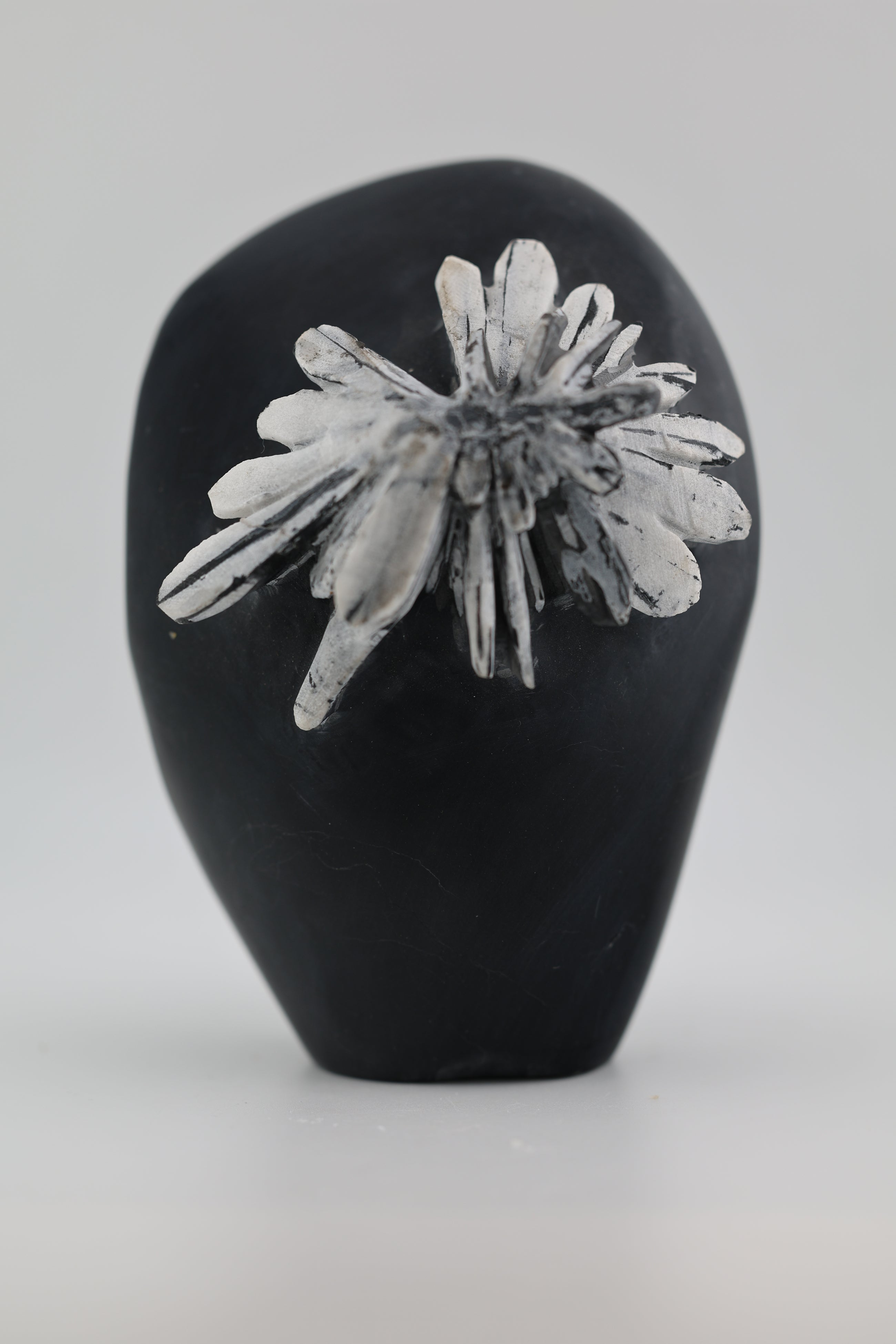 Chrysanthemum Carving