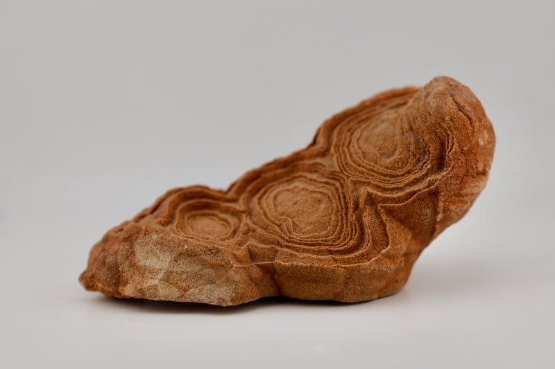 Stromatolite Freeform