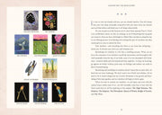Tarot for the Wild Soul: Hardcover