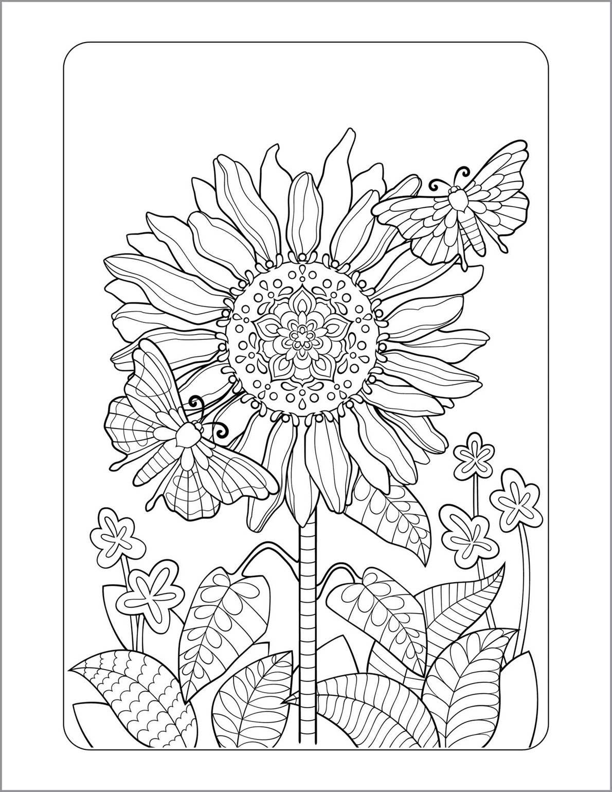 Anxiety Relief Coloring Book for Adults