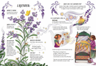 A Guide to Plants for Little Witchlings