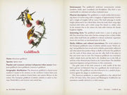 Hidden Meaning of Birds--A Spiritual Field Guide by Arin Murphy-Hiscock: Paperback; 240 pages / English