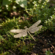 Brass Dragonfly